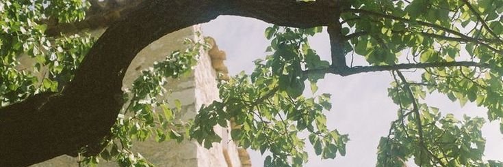 niluxsion's profile banner image