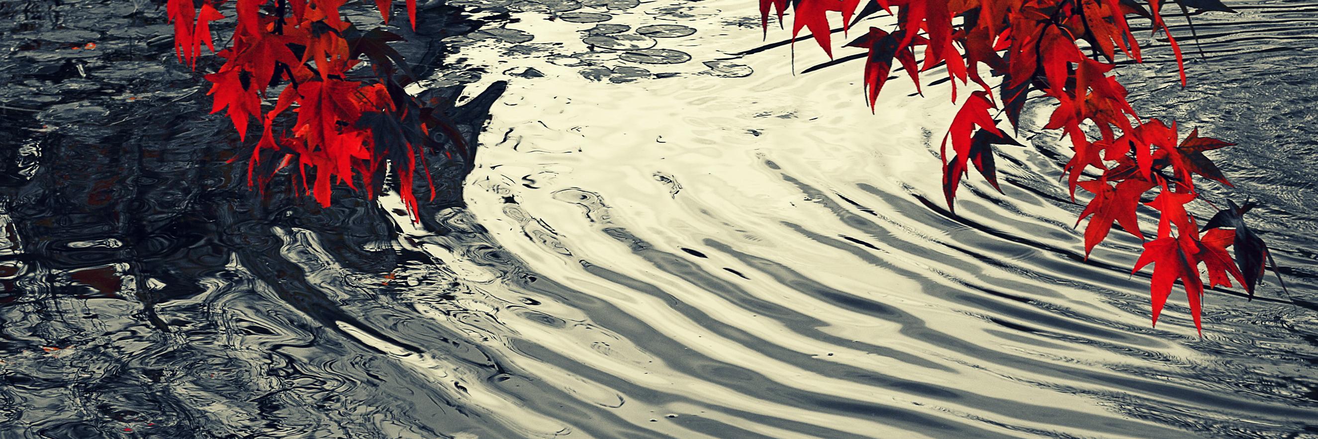 All_Back_S's profile banner image