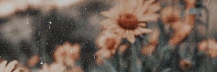 bravoo_lily's profile banner image