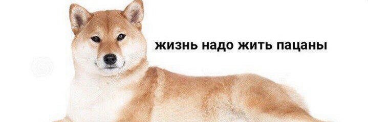 Елизавета Железная banner