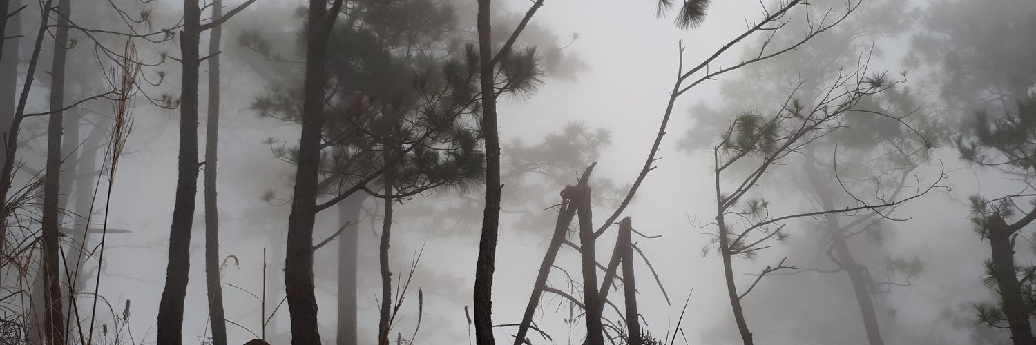 therealkhrise's profile banner image