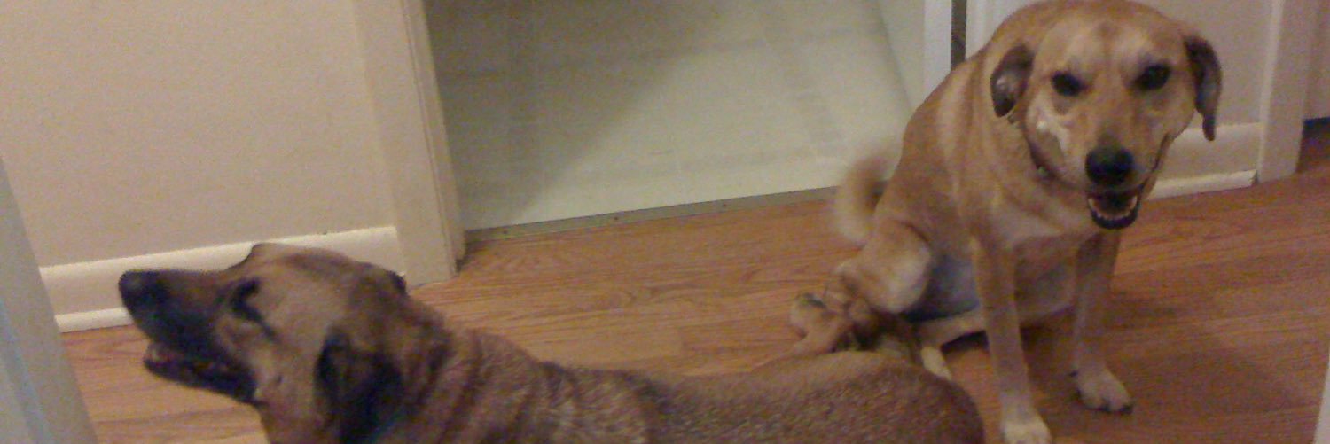 jeffswebb's profile banner image
