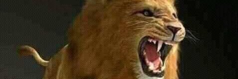 LION_HEART_PMLN's profile banner image