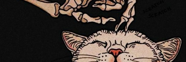 serkansln1's profile banner image