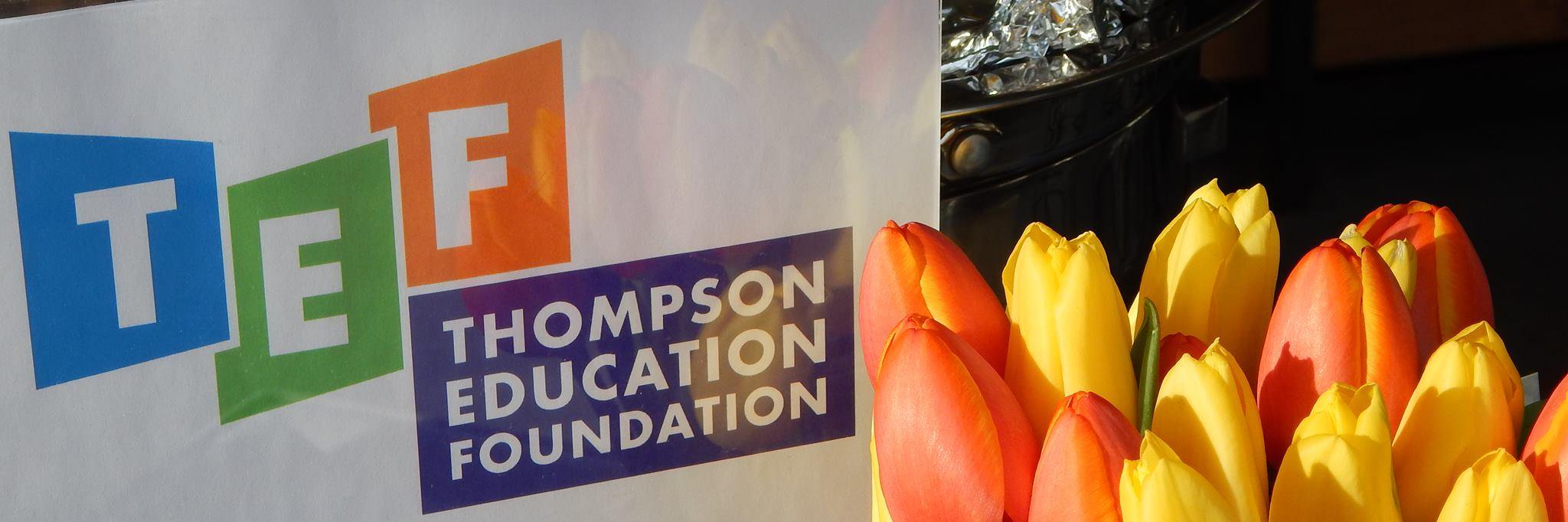Thompson Education banner