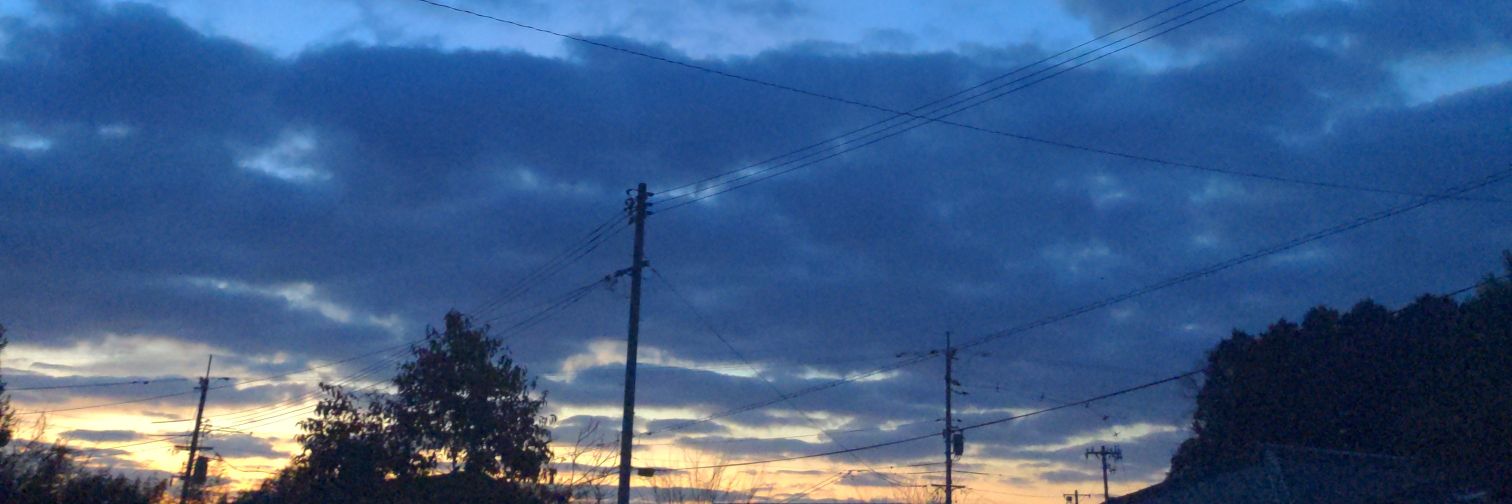 rexcy5648's profile banner image