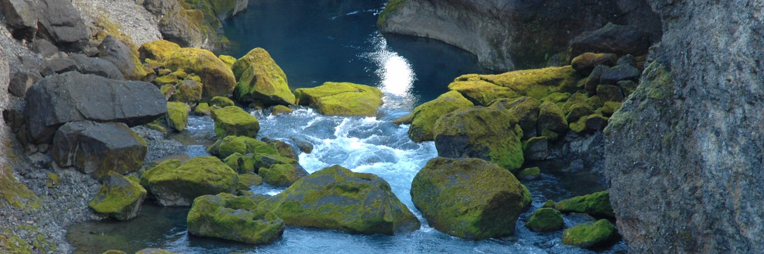 hiddenhighlands's profile banner image
