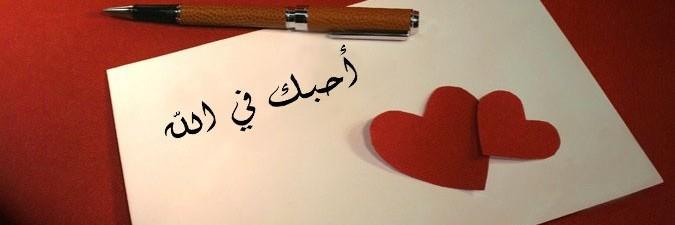 auliaibrahim's profile banner image