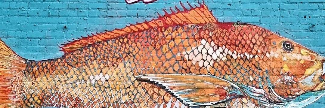 fragosochef's profile banner image