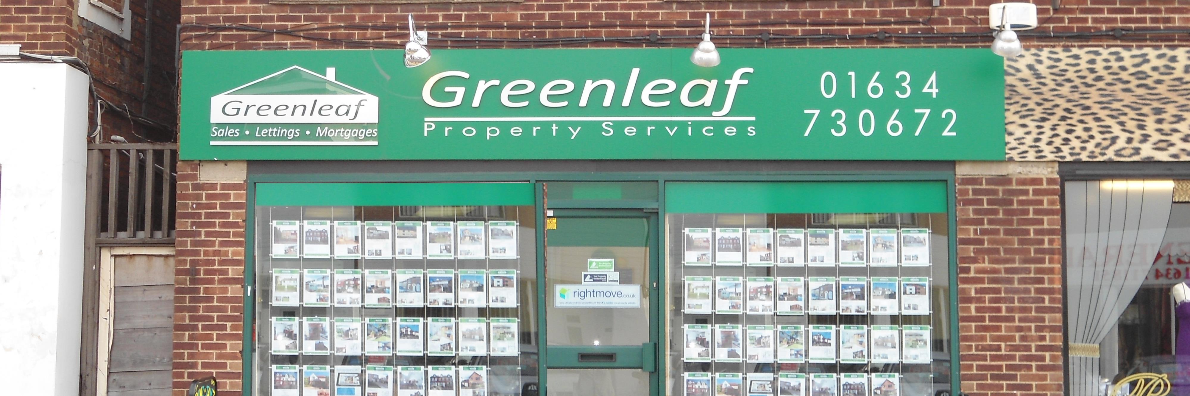 stroodgreenleaf's profile banner image