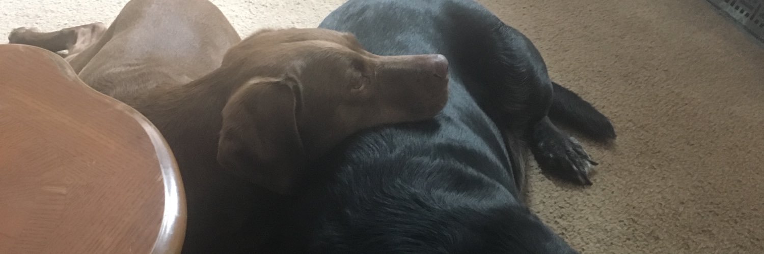 Jeff Gibbens “Lumpy” banner