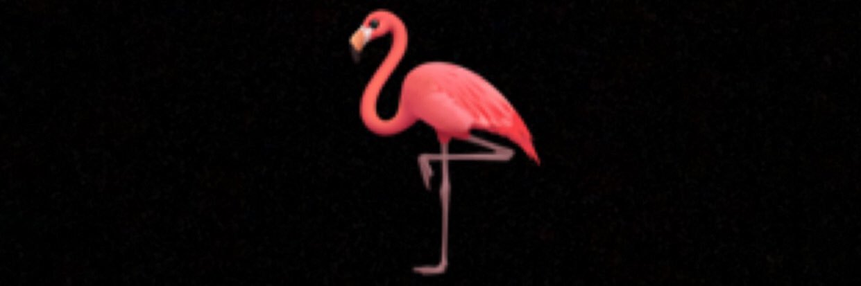 Flamingo876's profile banner image