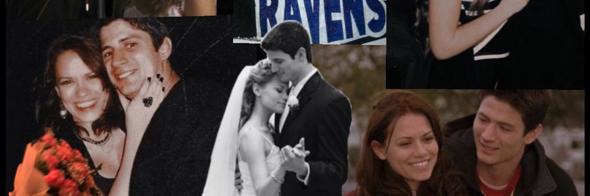sophi banner