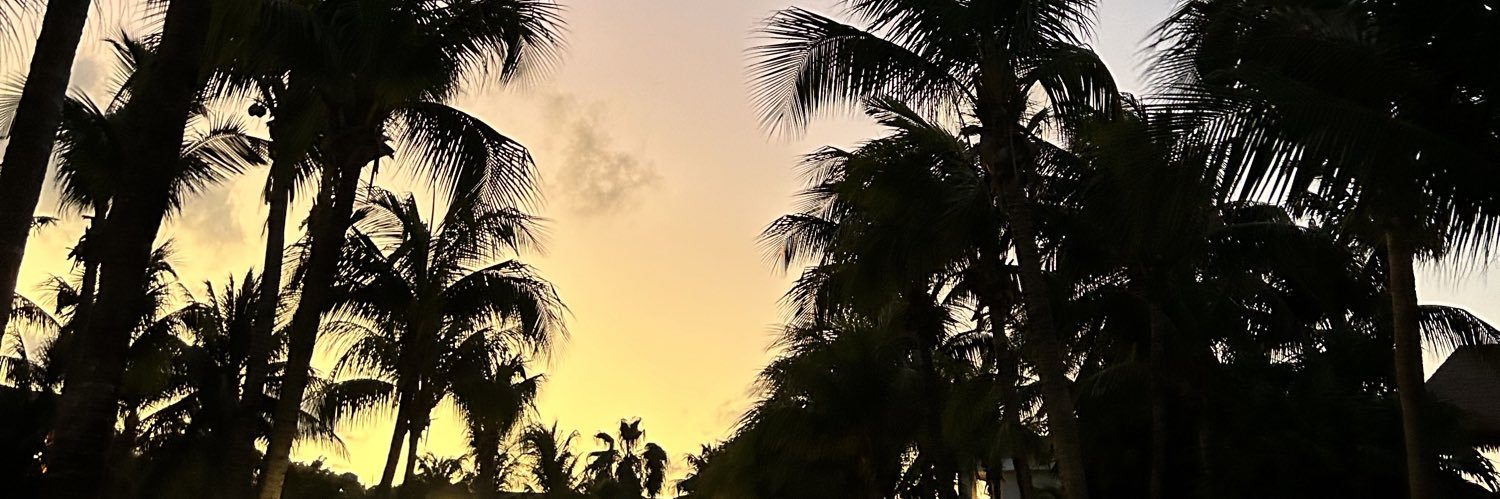 sydneywitteborg's profile banner image