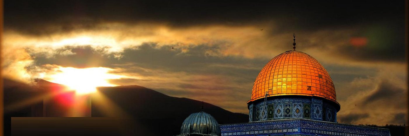 moi aussi ! 🇫🇷🇵🇸🇱🇧🇮🇷🇸🇩🇾🇪 banner