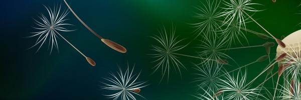 libbleo Profile Banner