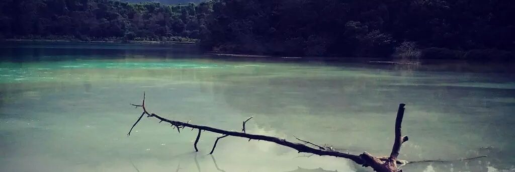 caesarliia's profile banner image