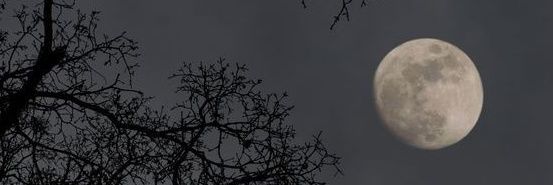 irenesqec's profile banner image