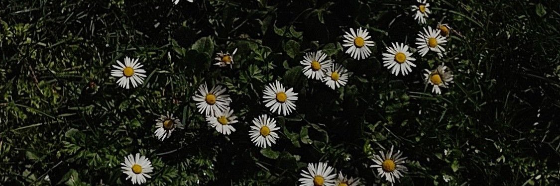 fnaddyrot's profile banner image