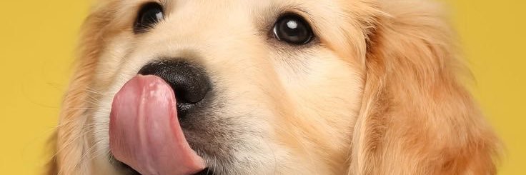 znmpns's profile banner image