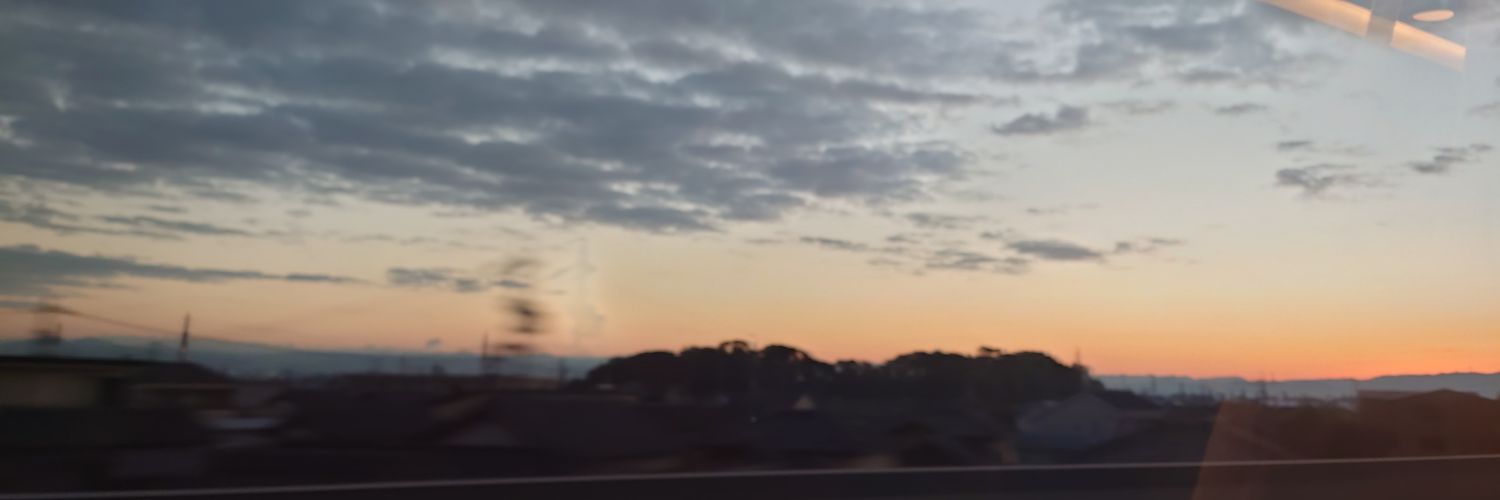nitoebi's profile banner image