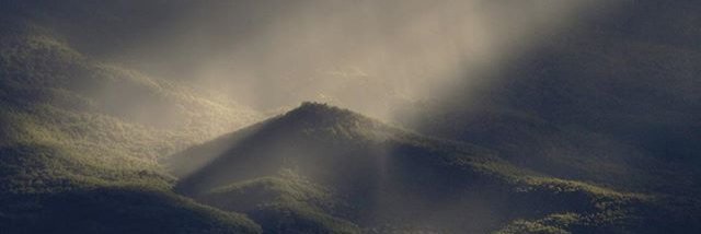 NTIX's profile banner image