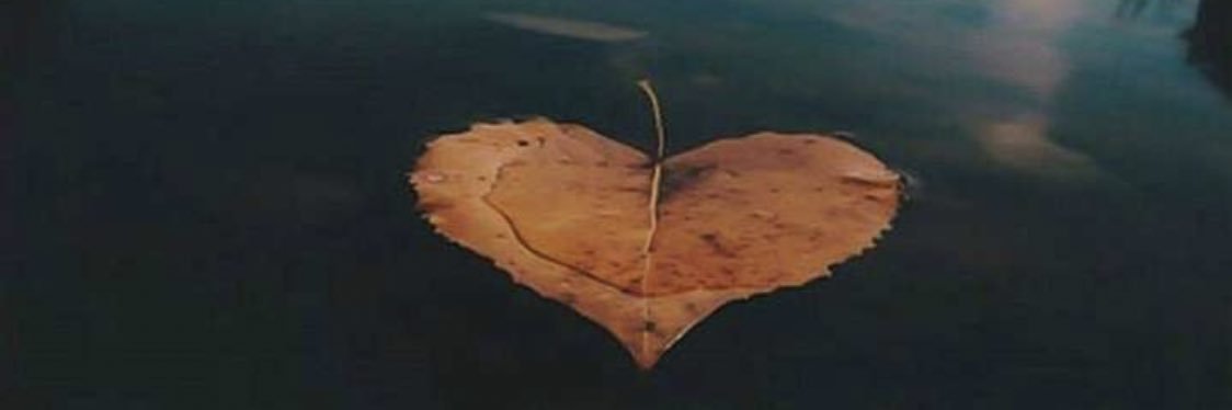 3yo0onalmaha's profile banner image