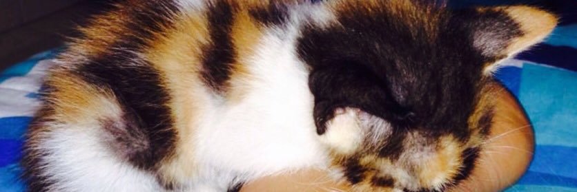 DanielaACF95's profile banner image