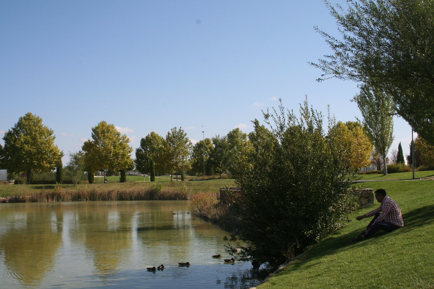 AFAUS ProSaludMental banner