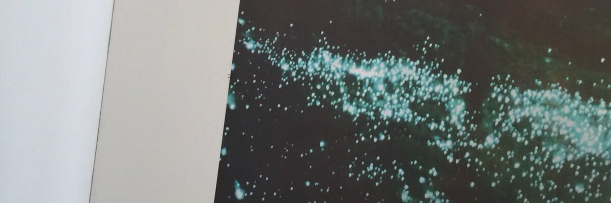 punkpixiedust's profile banner image