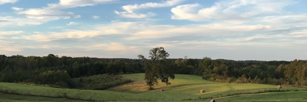 Forestlandceo's profile banner image