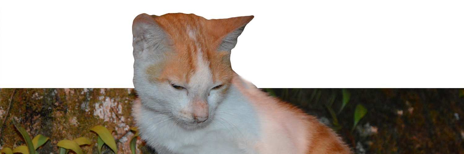 maghfrhr's profile banner image