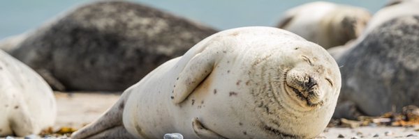 Iam0rang3 Profile Banner