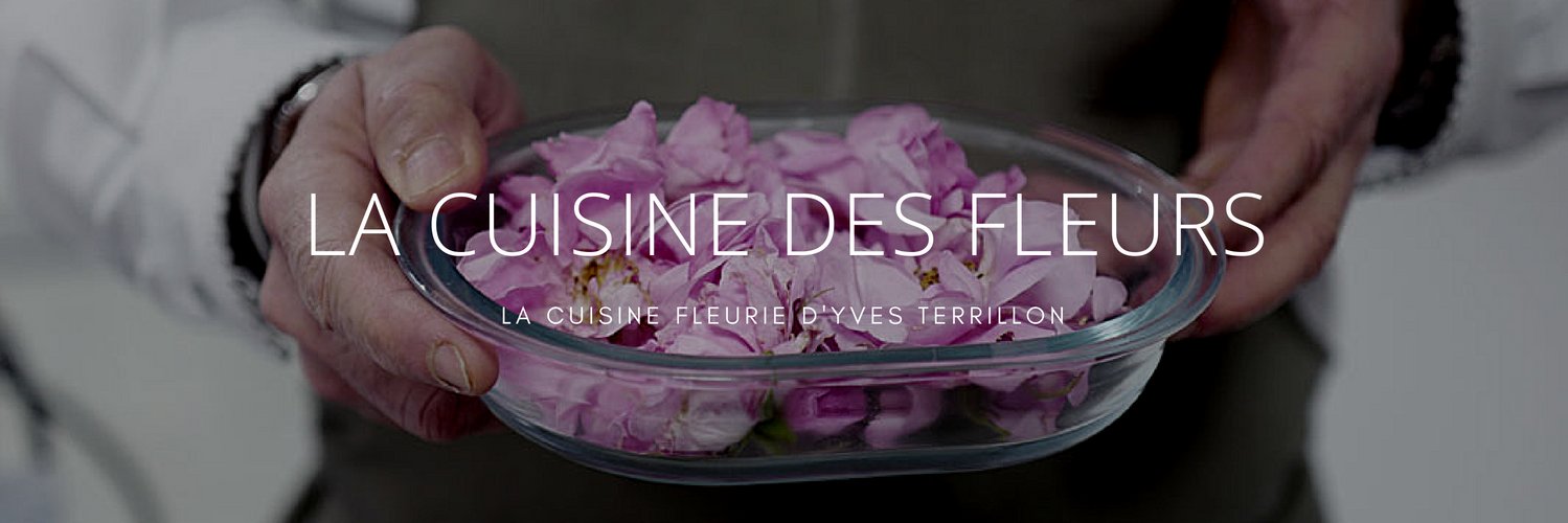 YvesTerrillon's profile banner image
