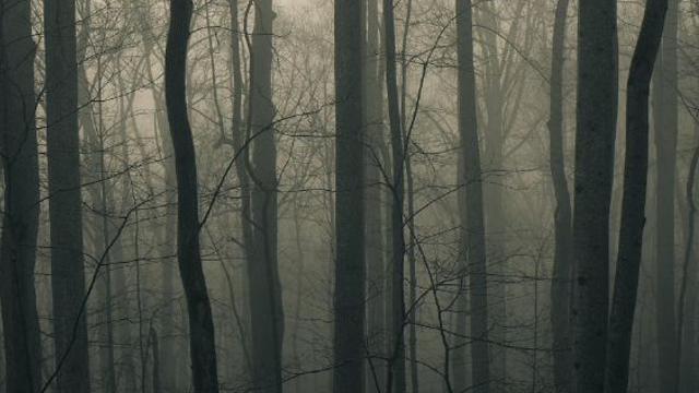 kikukkid's profile banner image