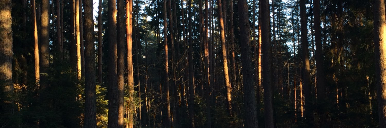 houpeer's profile banner image