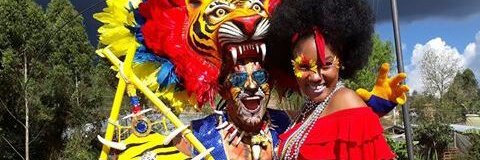 linabenitez2's profile banner image