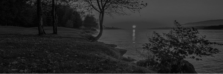 ridavia's profile banner image