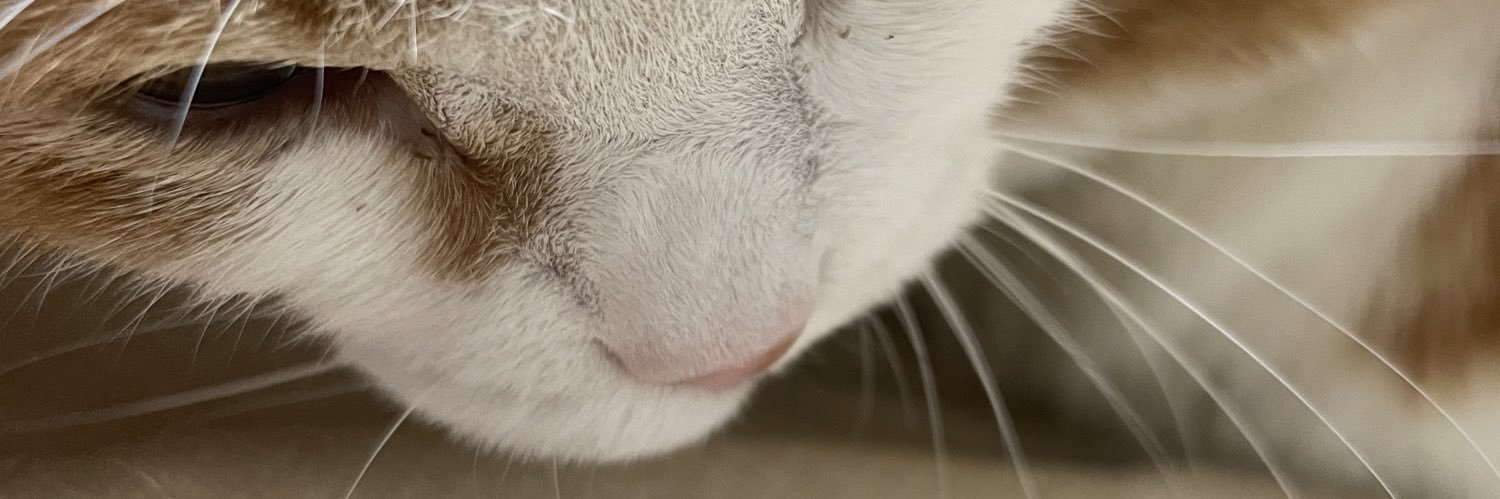 kalbulim's profile banner image