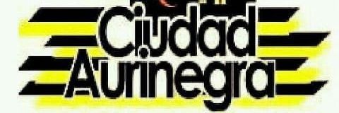 ciudadaurinegra's profile banner image