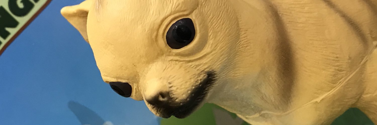 OmwToU's profile banner image