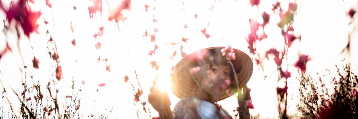 novusselect's profile banner image