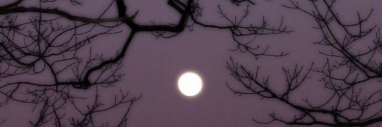 xo_soj's profile banner image