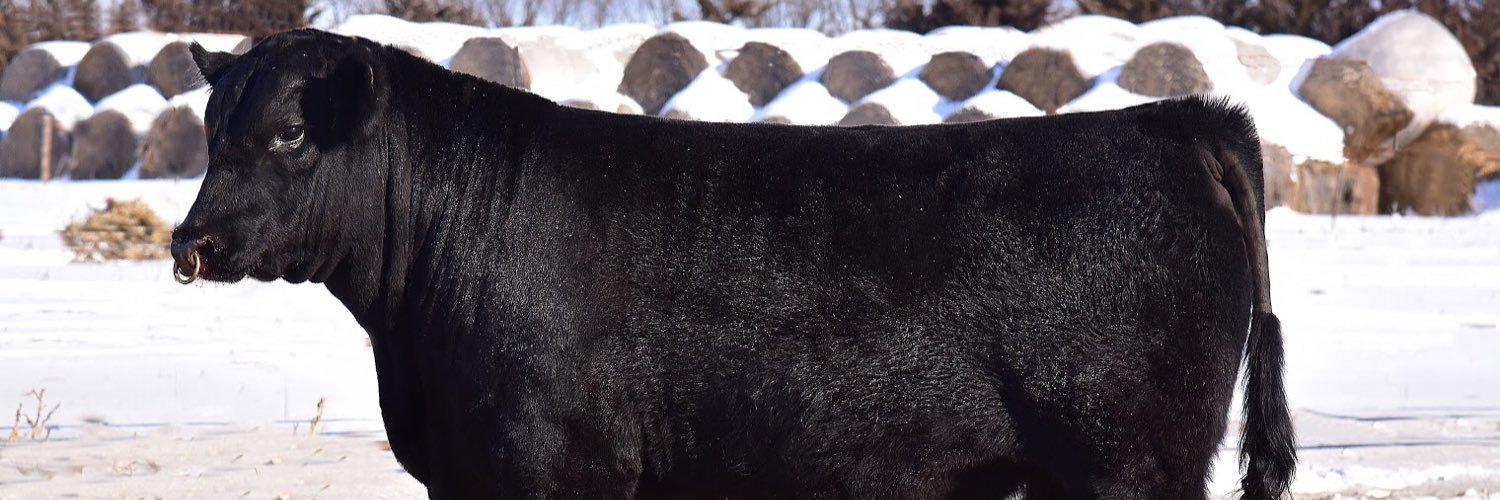 Brett Tostenson banner