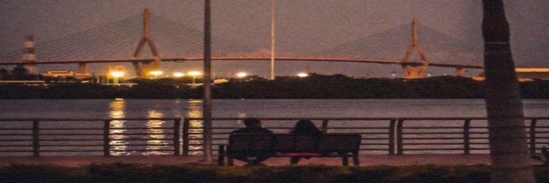 Carlos Requena banner