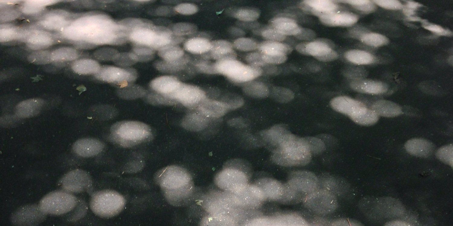 ftd3dym23's profile banner image