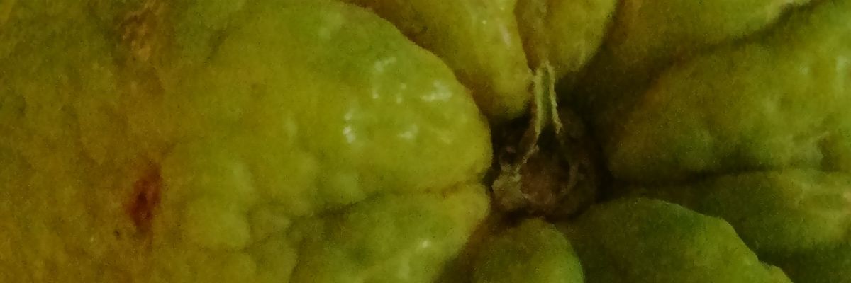 ebenezer_tsado's profile banner image