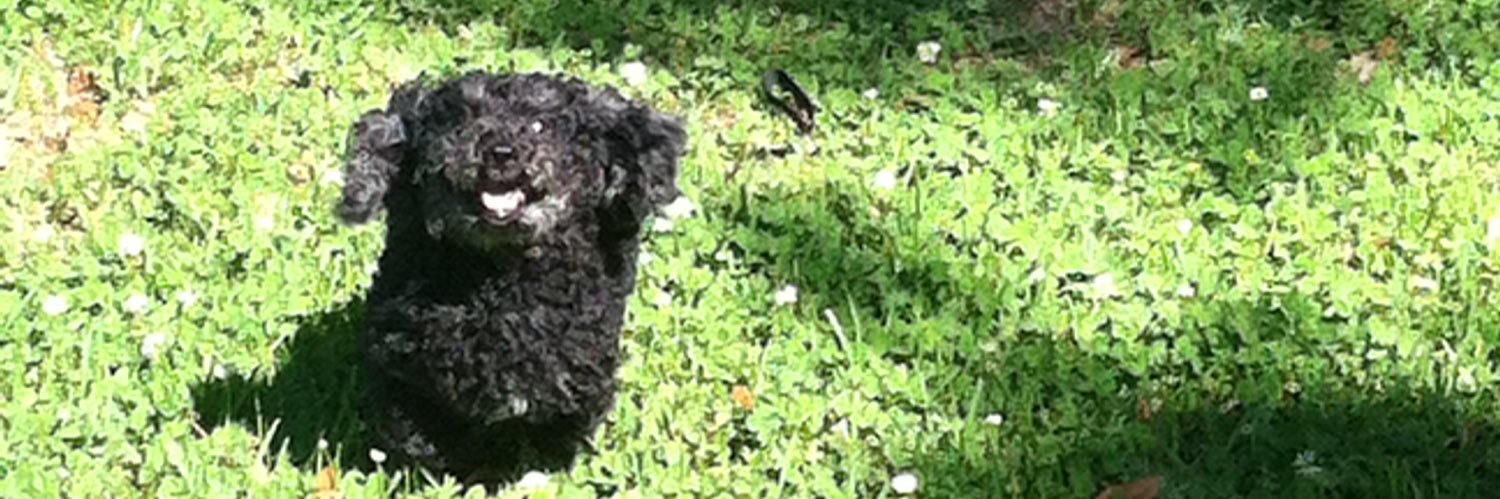 AboutAlysha's profile banner image