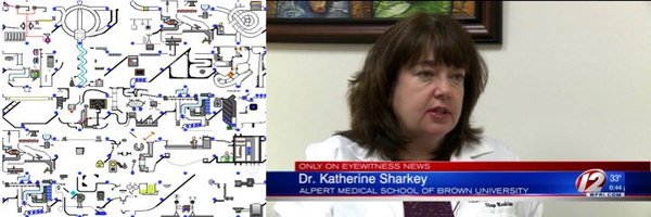 katie_sharkey Profile Banner