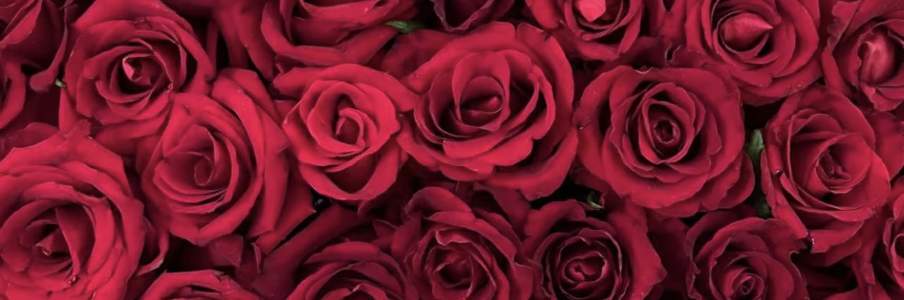 _shaikhaa_m's profile banner image